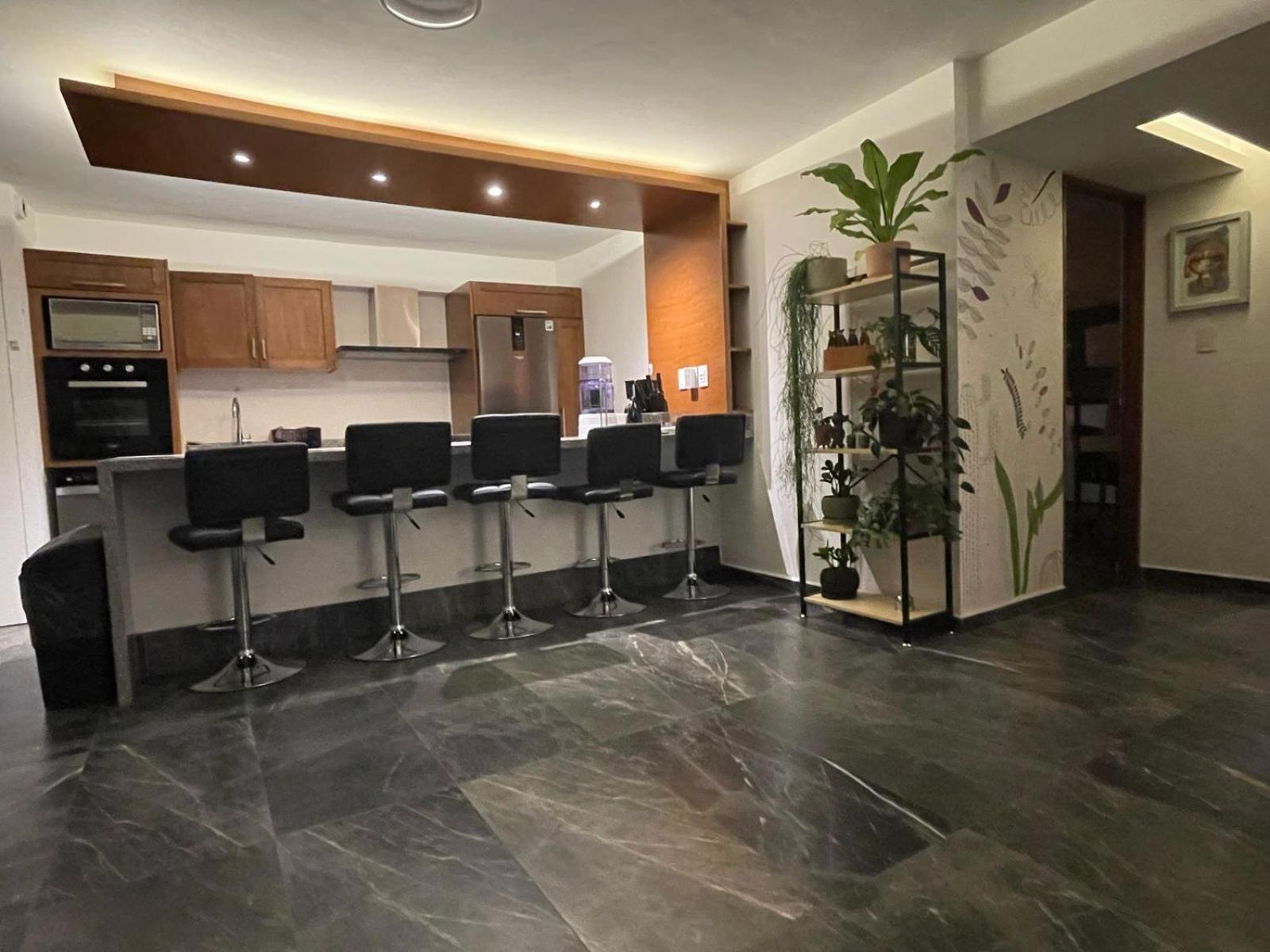 Great Apartment In The Heart Of Coyoacan México DF Exterior foto