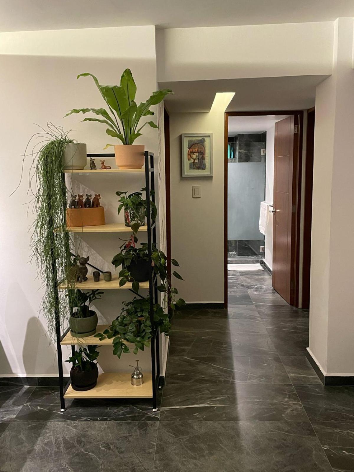 Great Apartment In The Heart Of Coyoacan México DF Exterior foto
