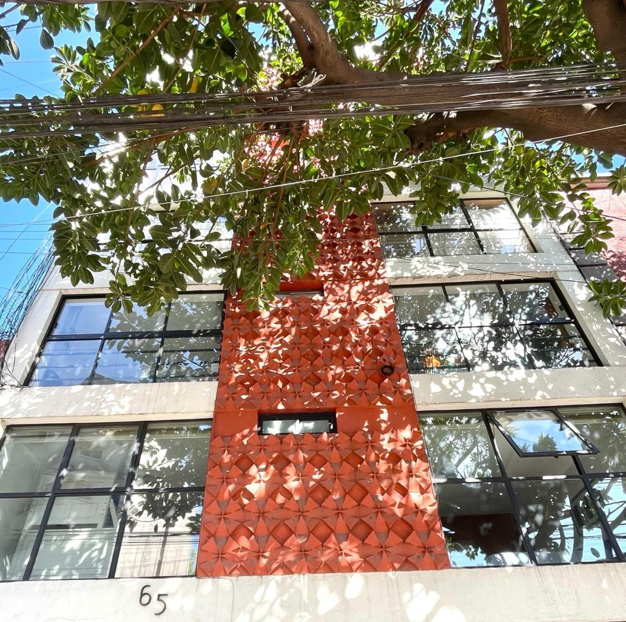 Great Apartment In The Heart Of Coyoacan México DF Exterior foto